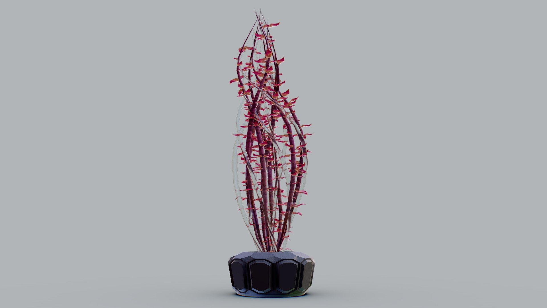 Plant Alien / Sci-Fi 3d model