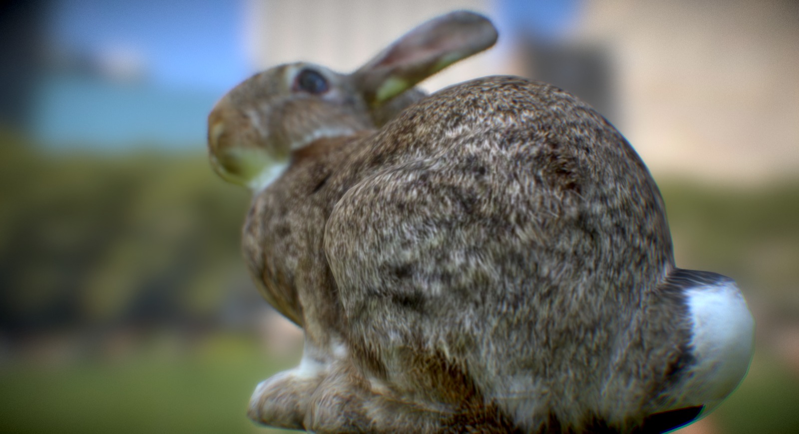 Bunny 3d model