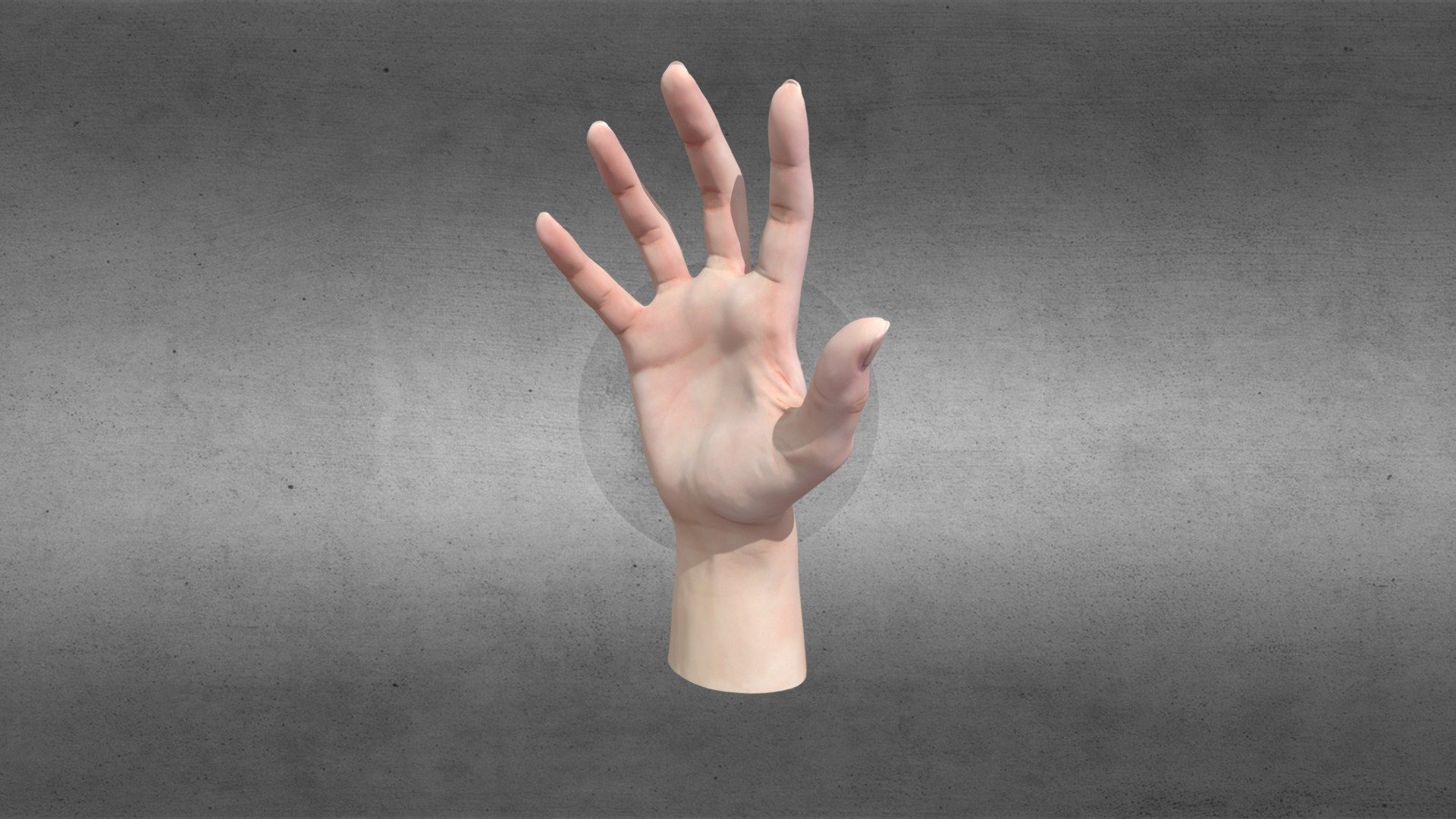 Hand 3d model