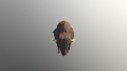 Bison