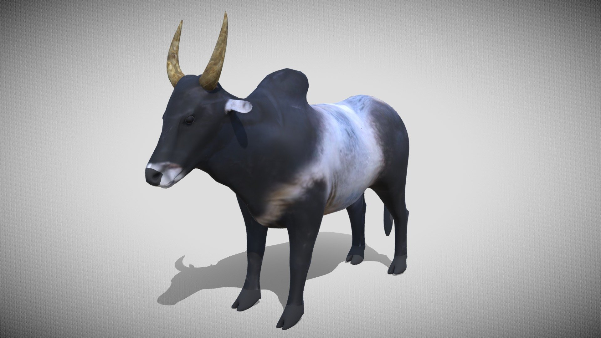 Bull 3d model