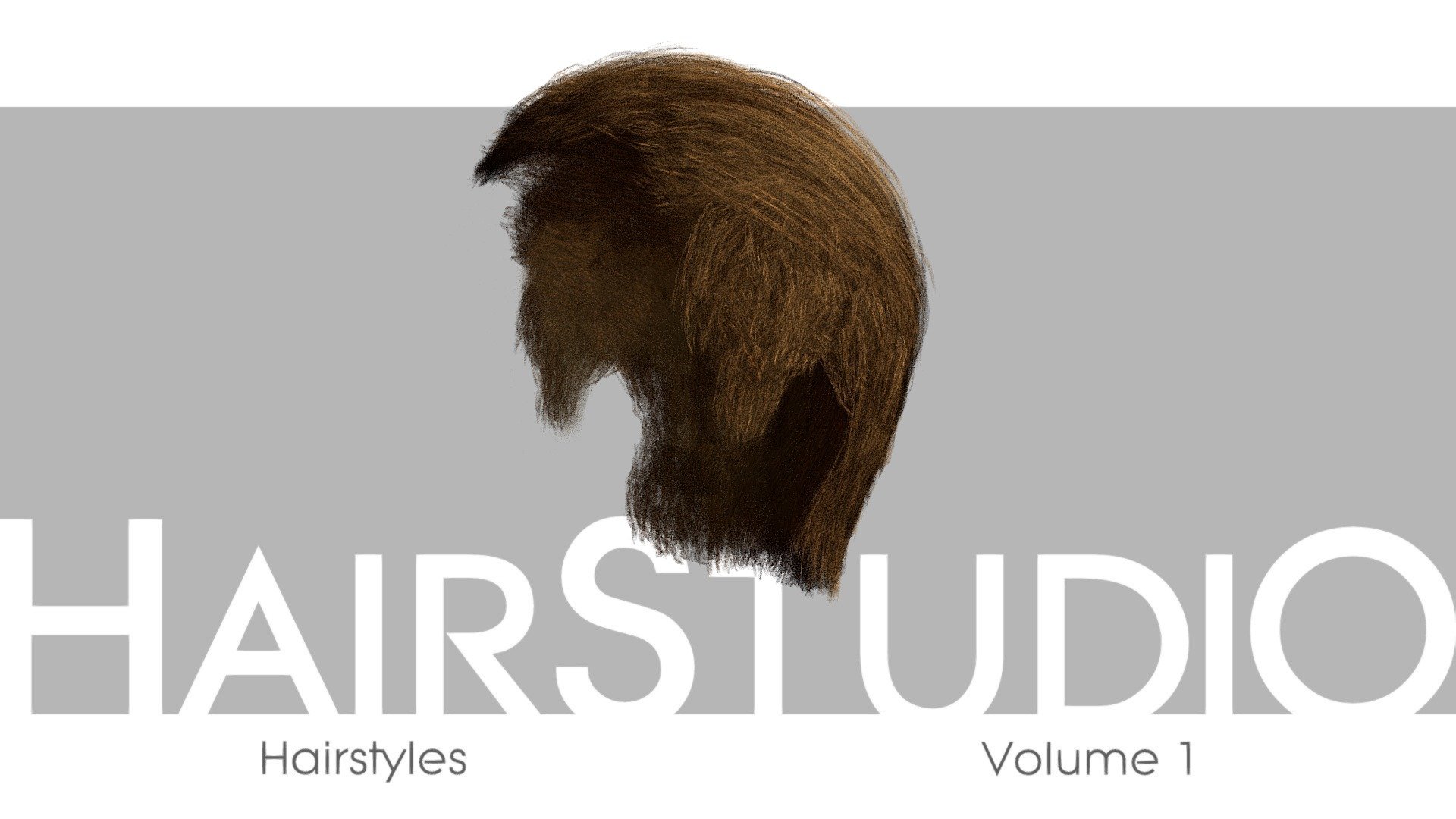 HairStudio Vol.01 3d model