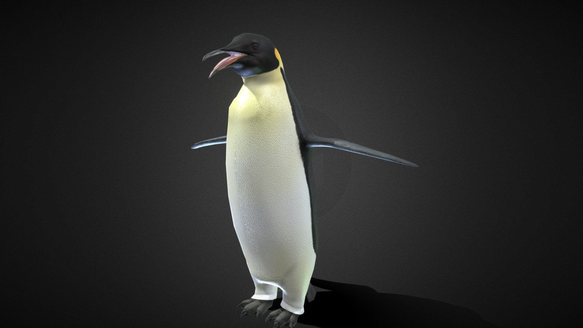 Emperor penguin (Aptenodytes forsteri) 3d model