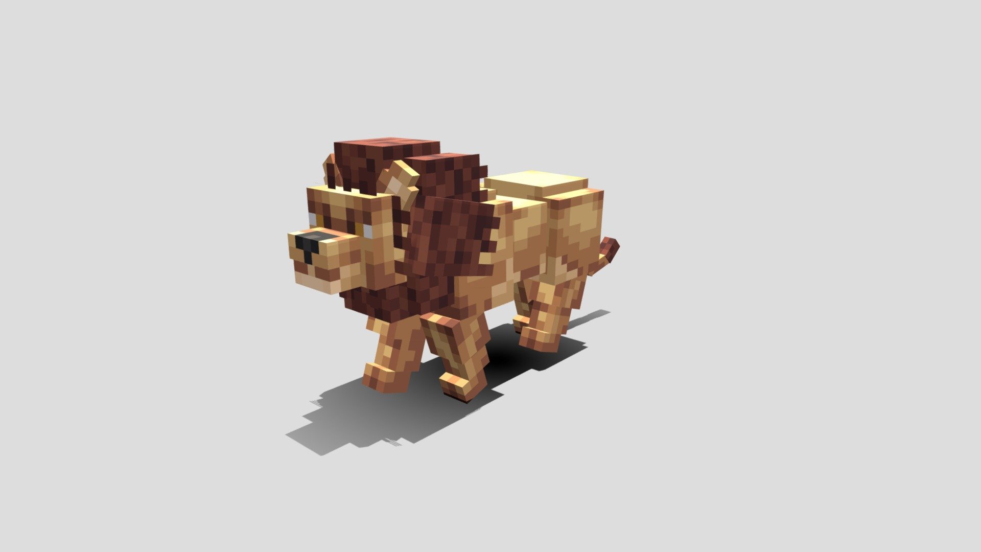 Lion 3d model