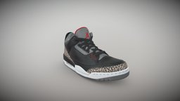 Air Jordan 3s