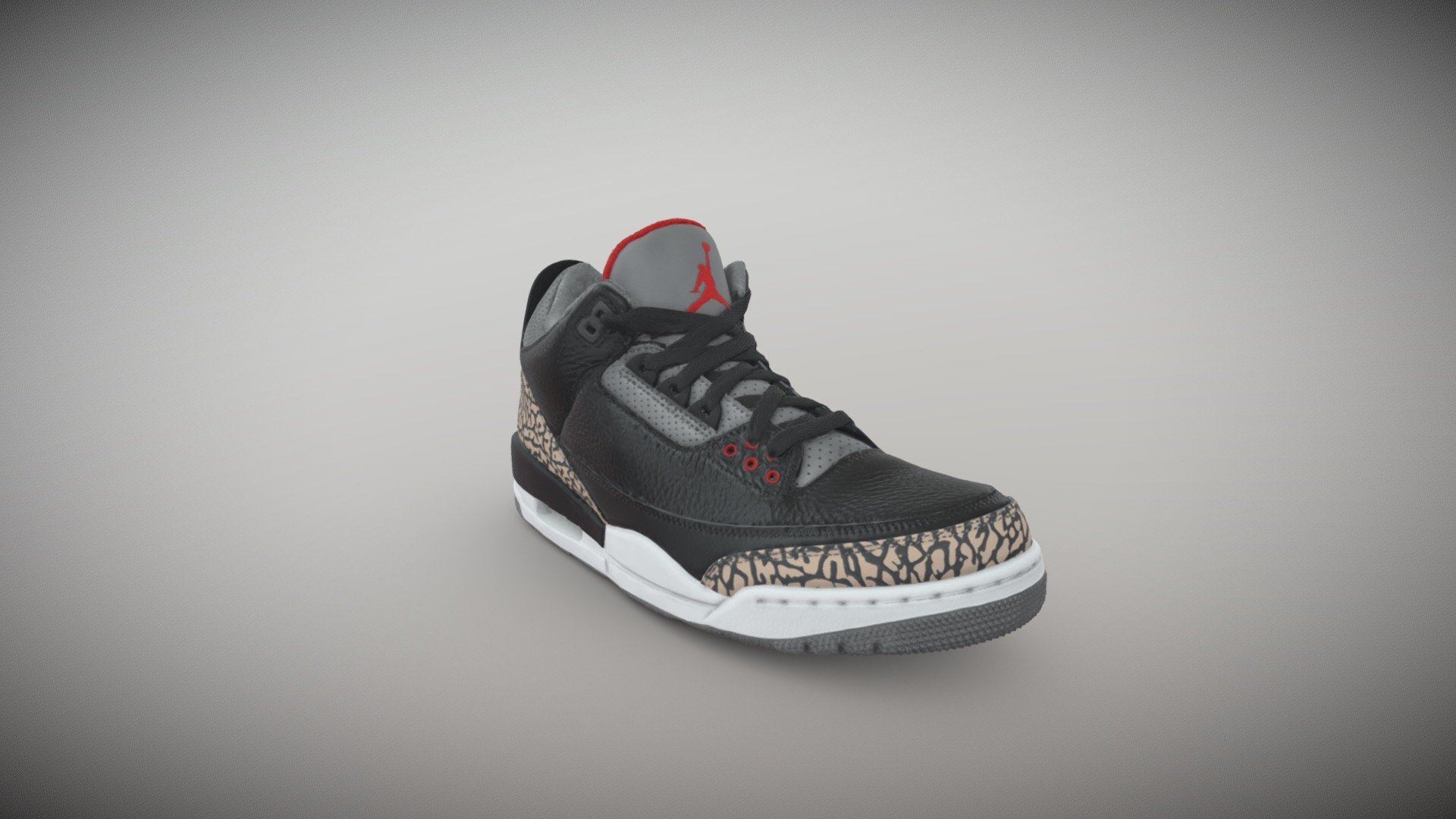 Air Jordan 3s 3d model