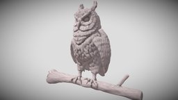 Owl Sculpt