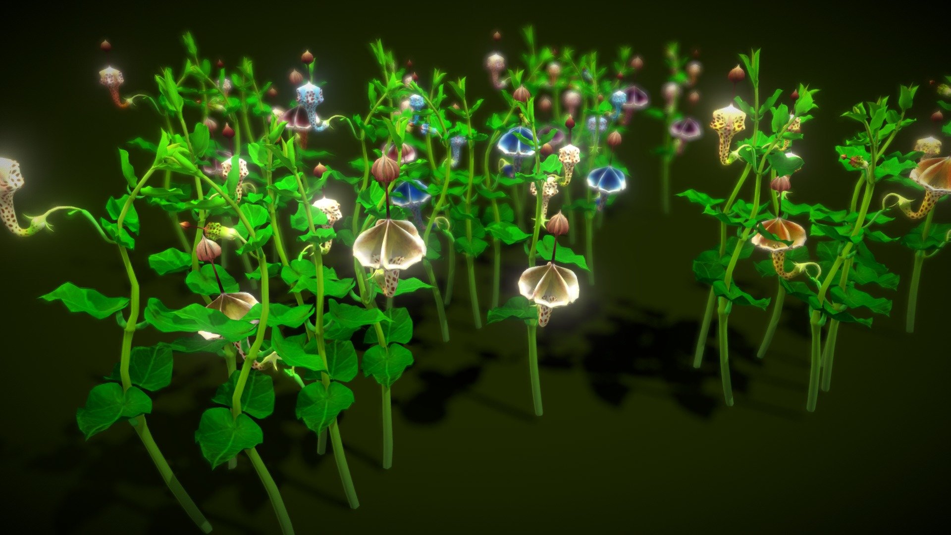 Flower Ceropegia Haygarthii 3d model