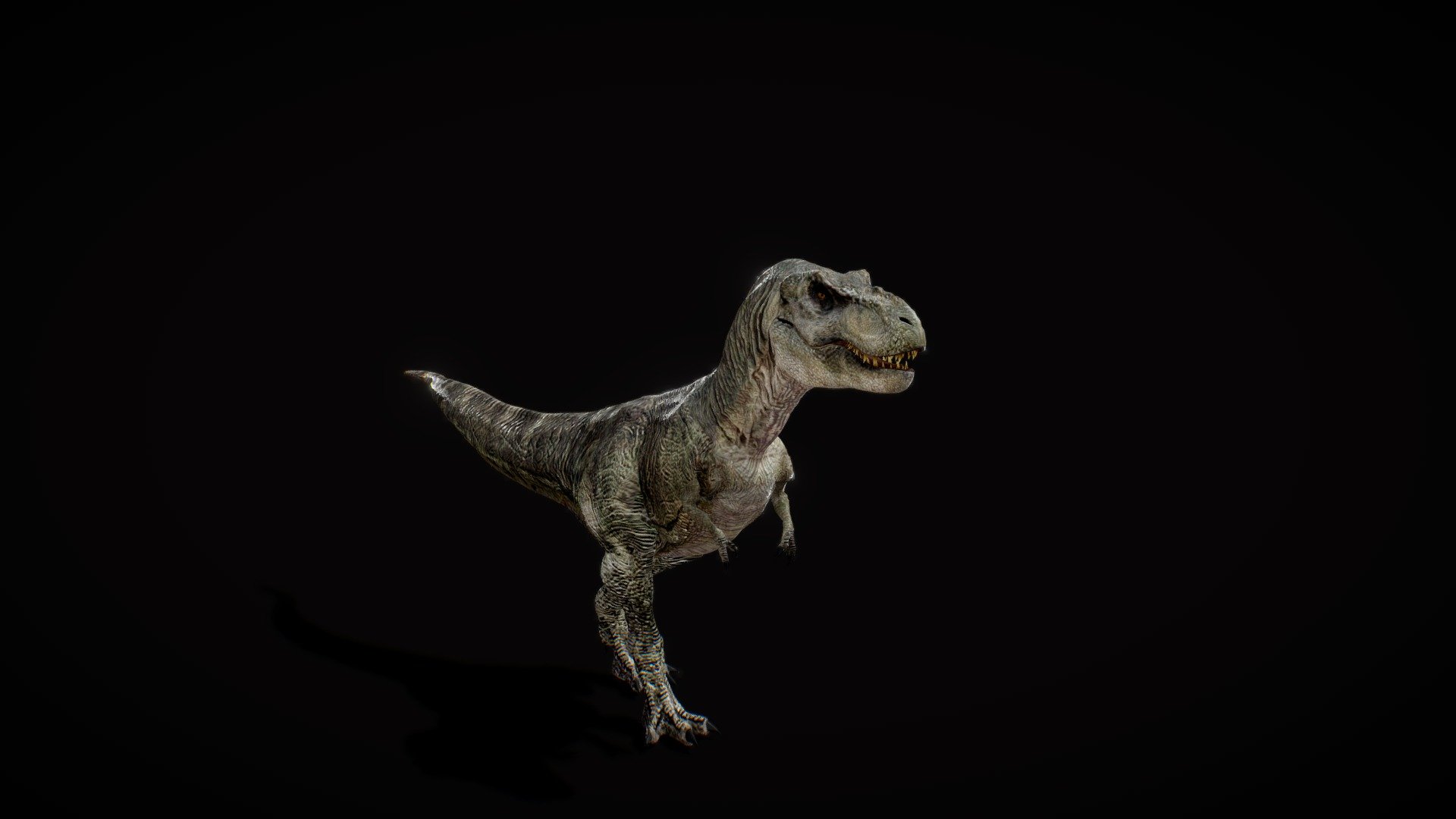 trex 3d model