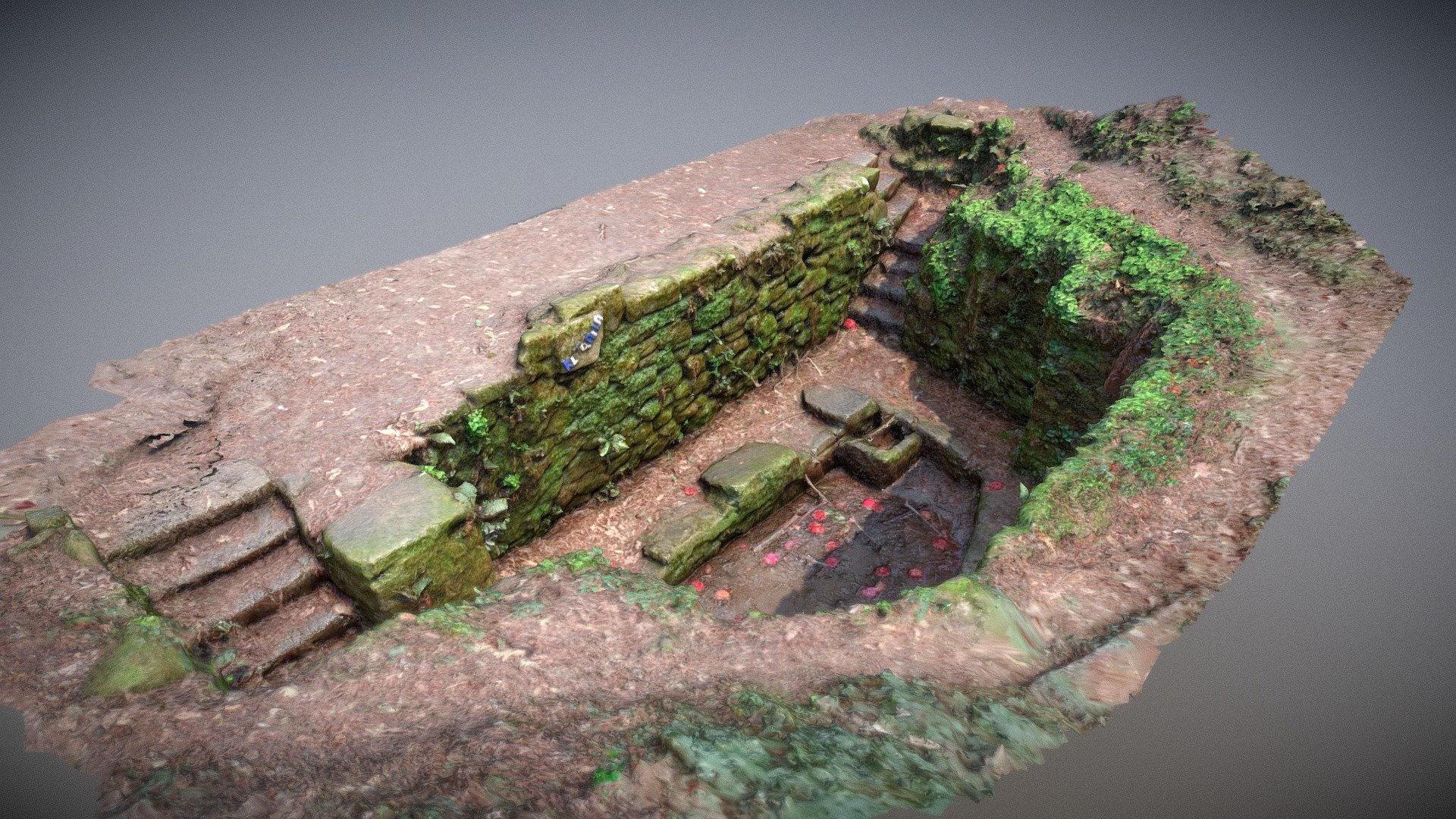 Forest Pit 3d model