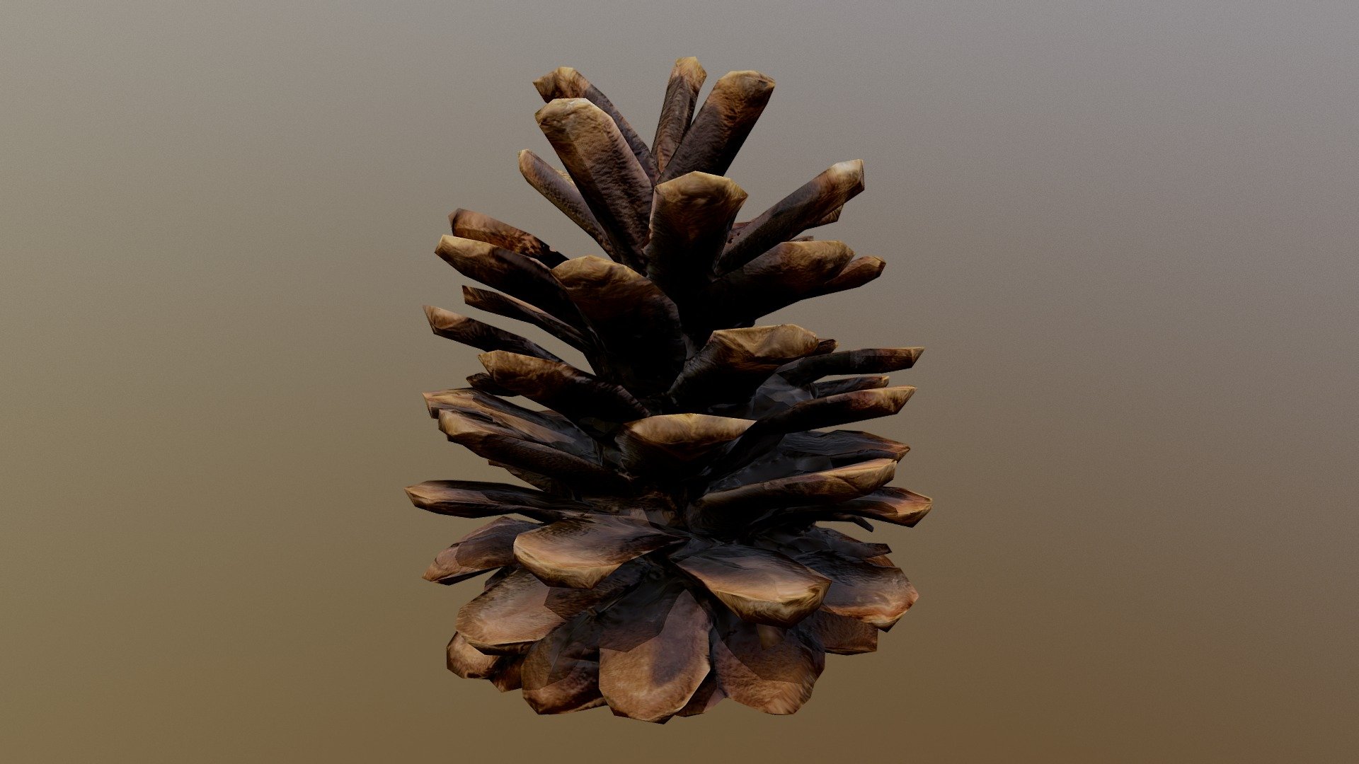 Unity Delighting Tool: Pine Cone 3d model