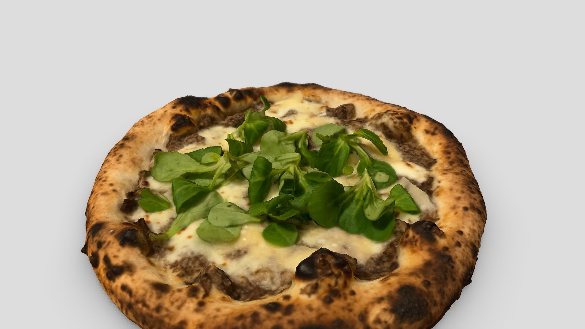 Homemade truffle pizza 3d model