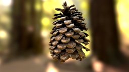 Large Pinecone 2