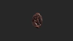 photogrammetry raisin