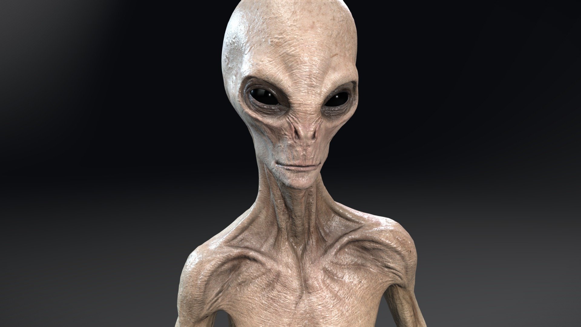 Grey Alien 3d model