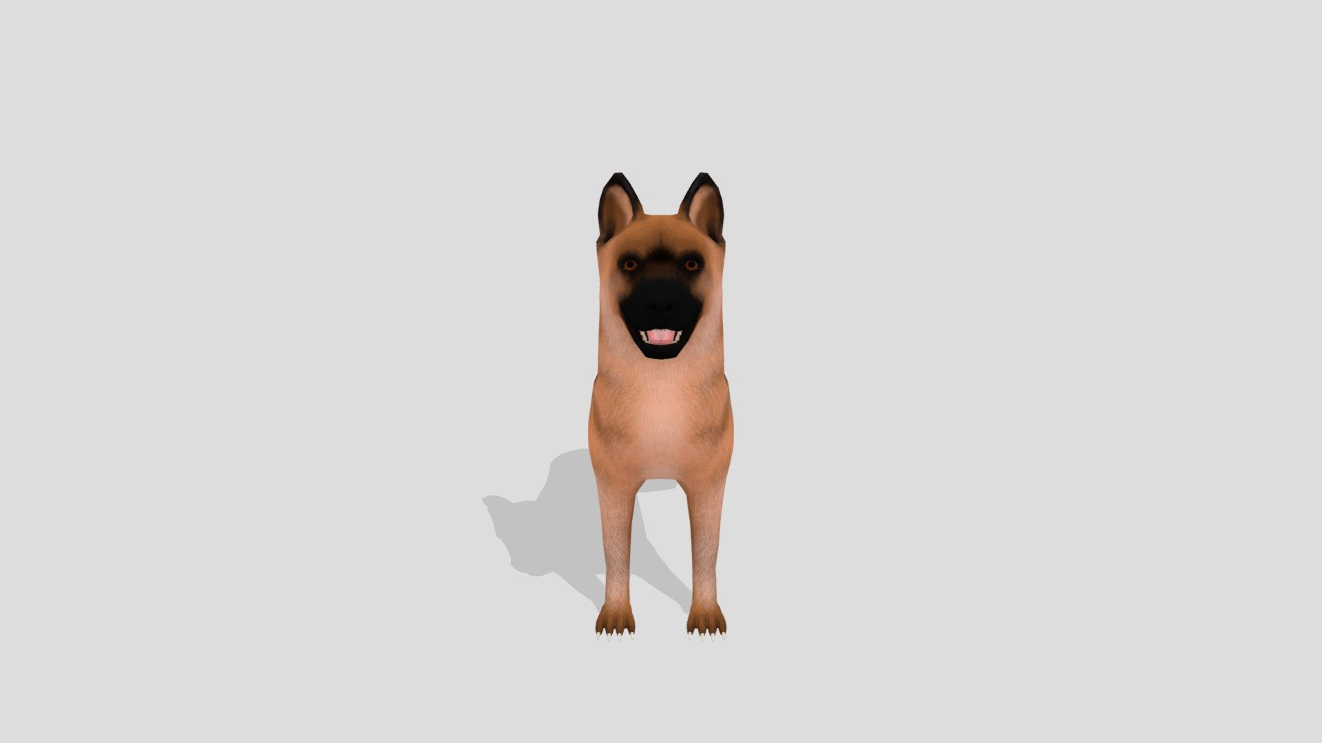 German Shepherd 3d model