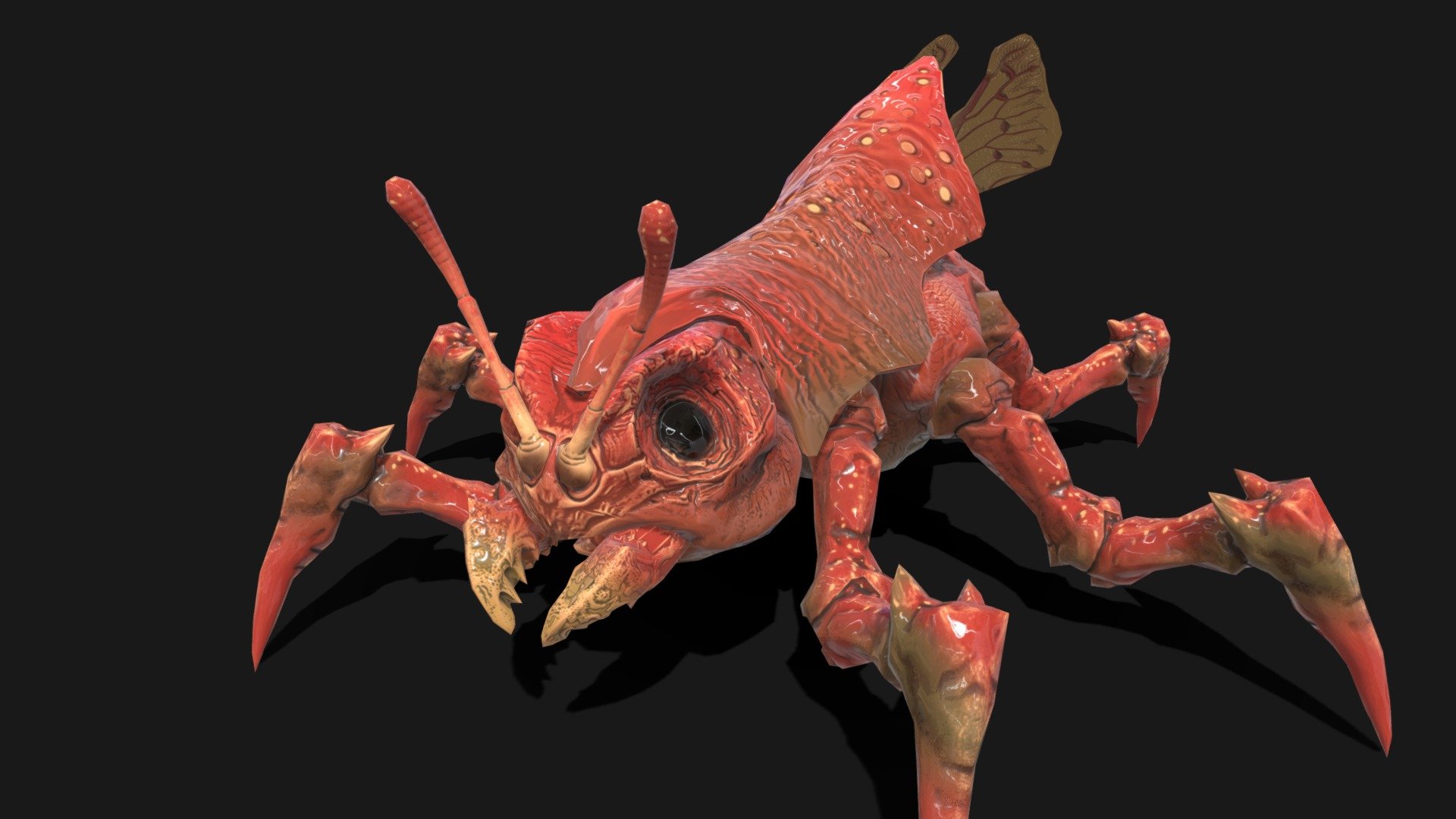 Land Bug6 3d model