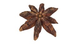 Star Anise #1