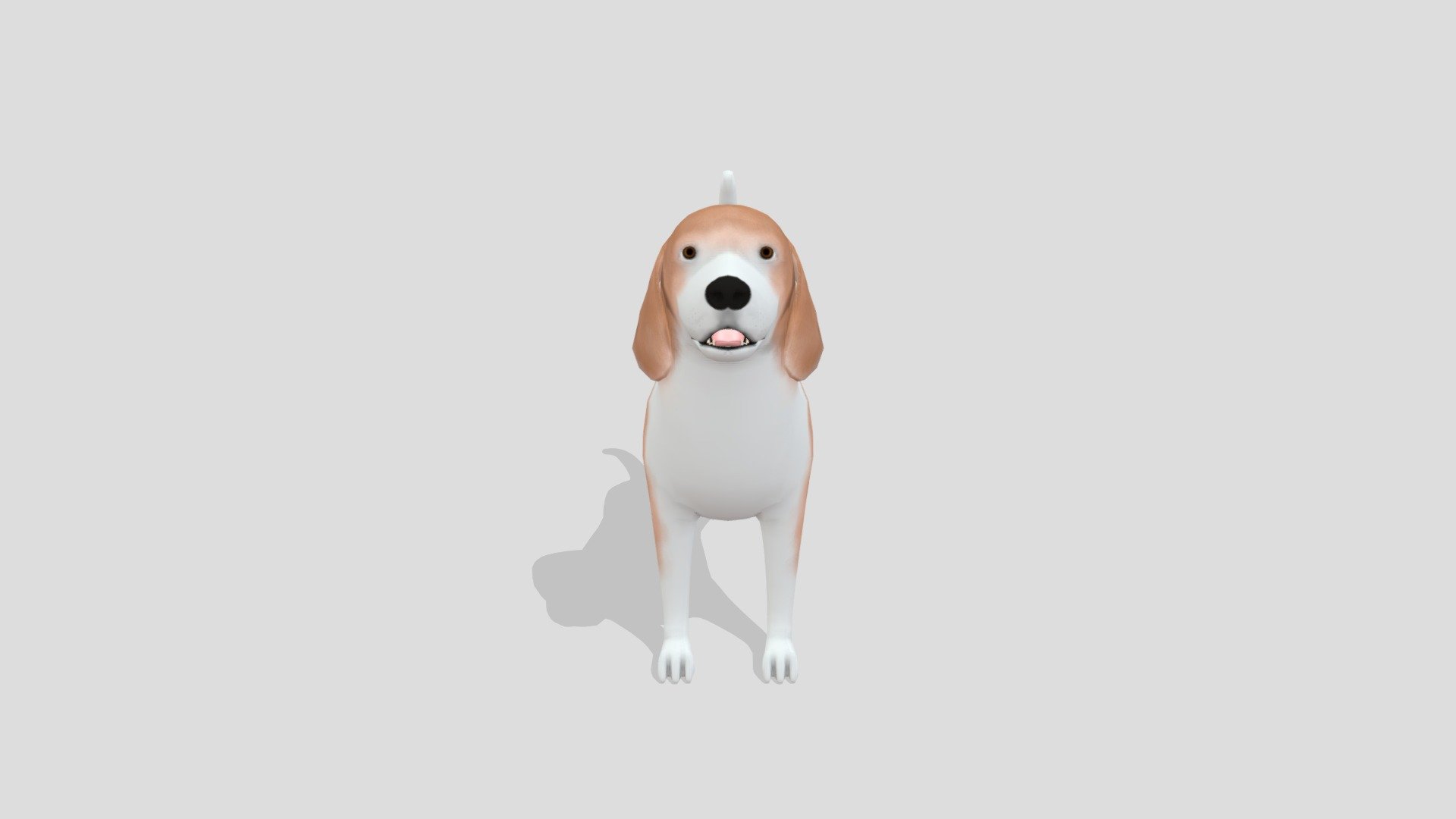 Beagle 3d model