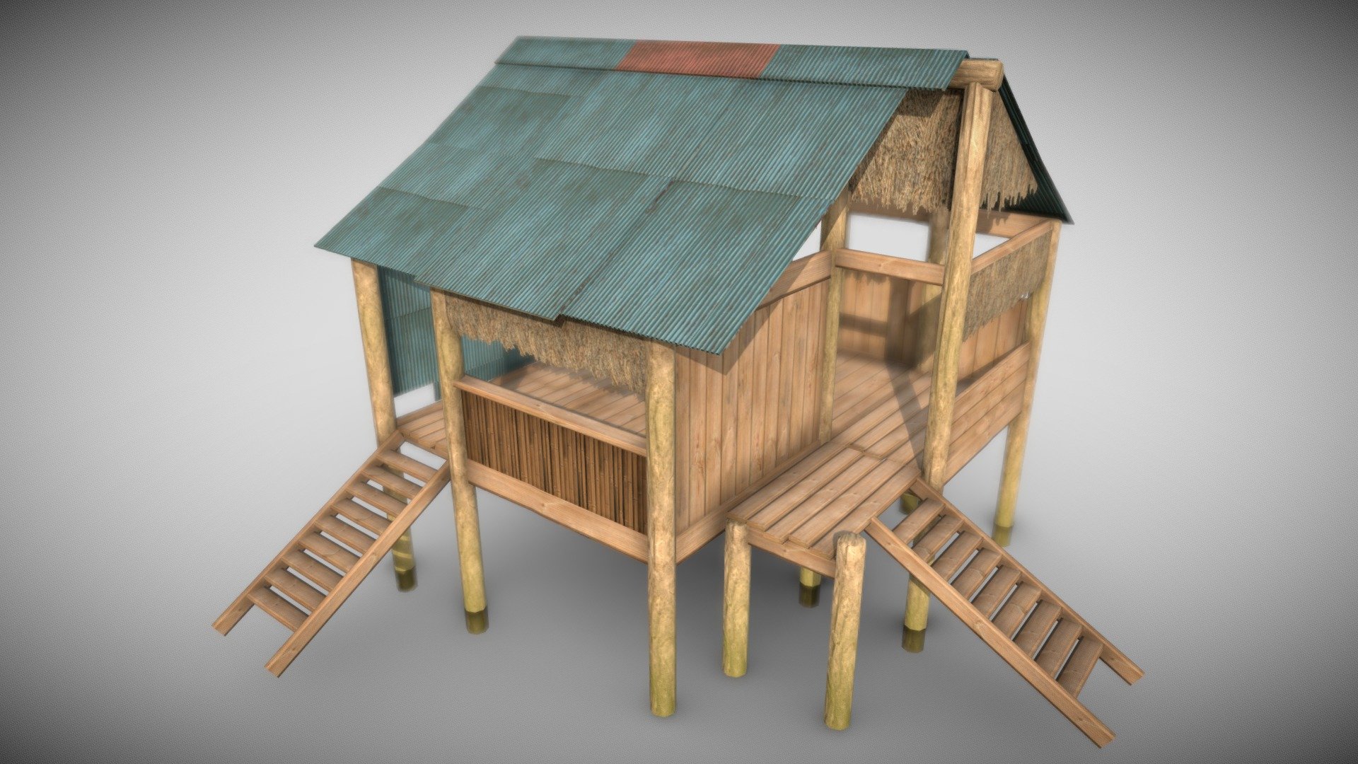 Village House 3d model