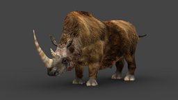 Woolly Rhinoceros