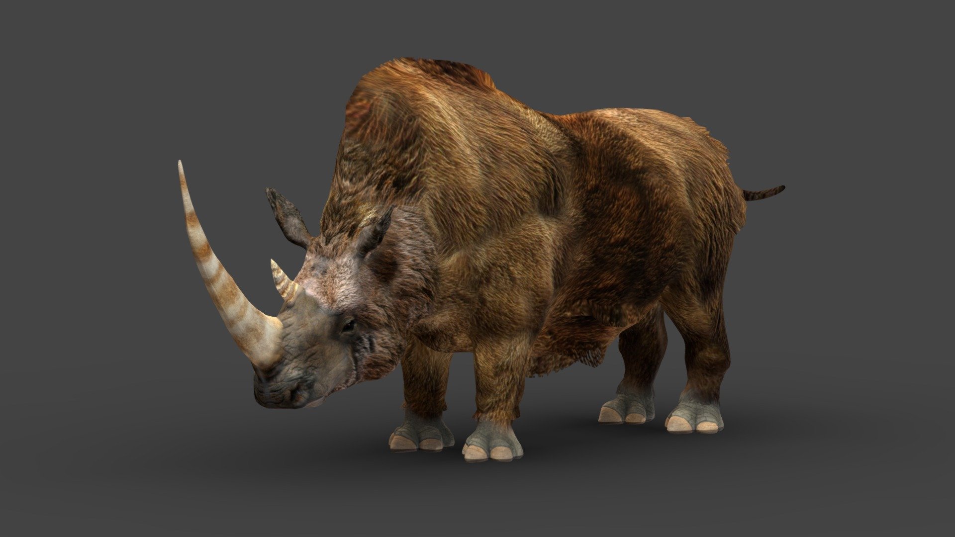 Woolly Rhinoceros 3d model