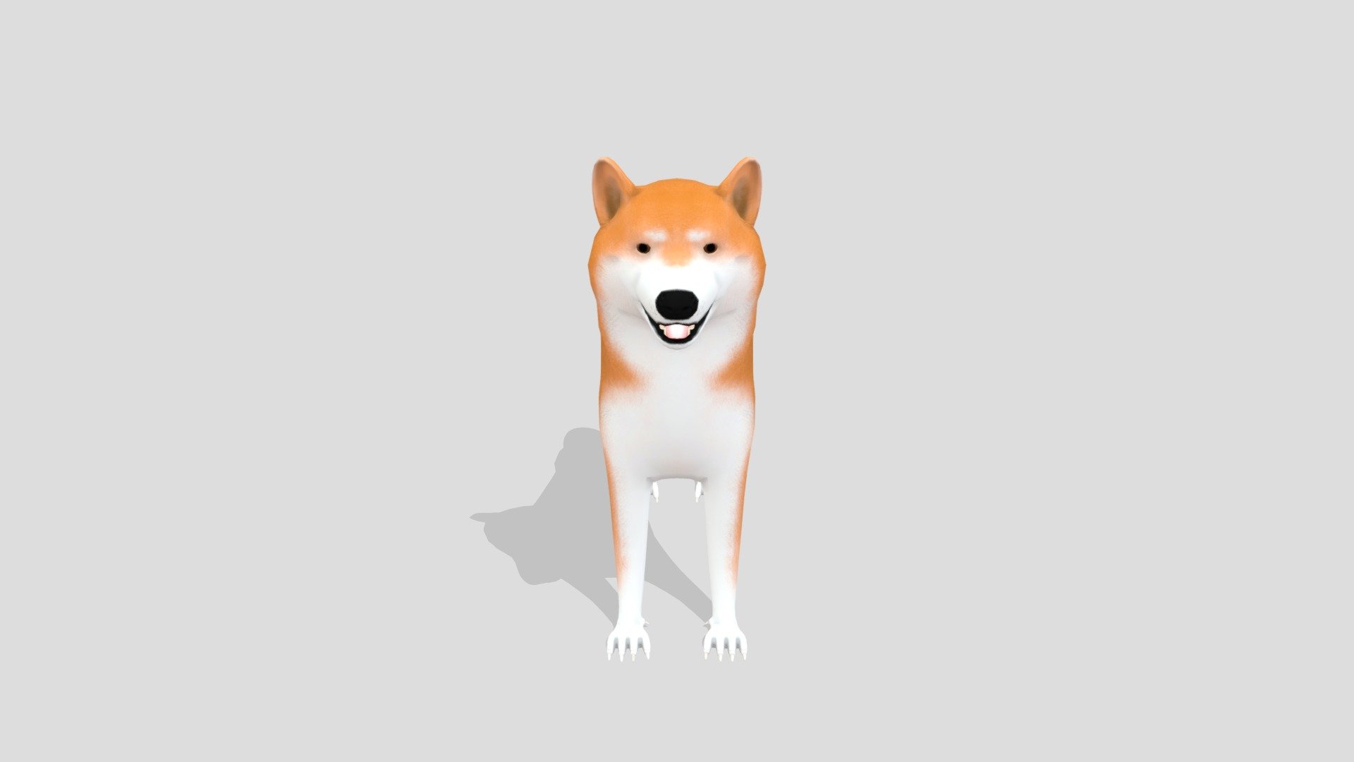 Shiba Inu 3d model