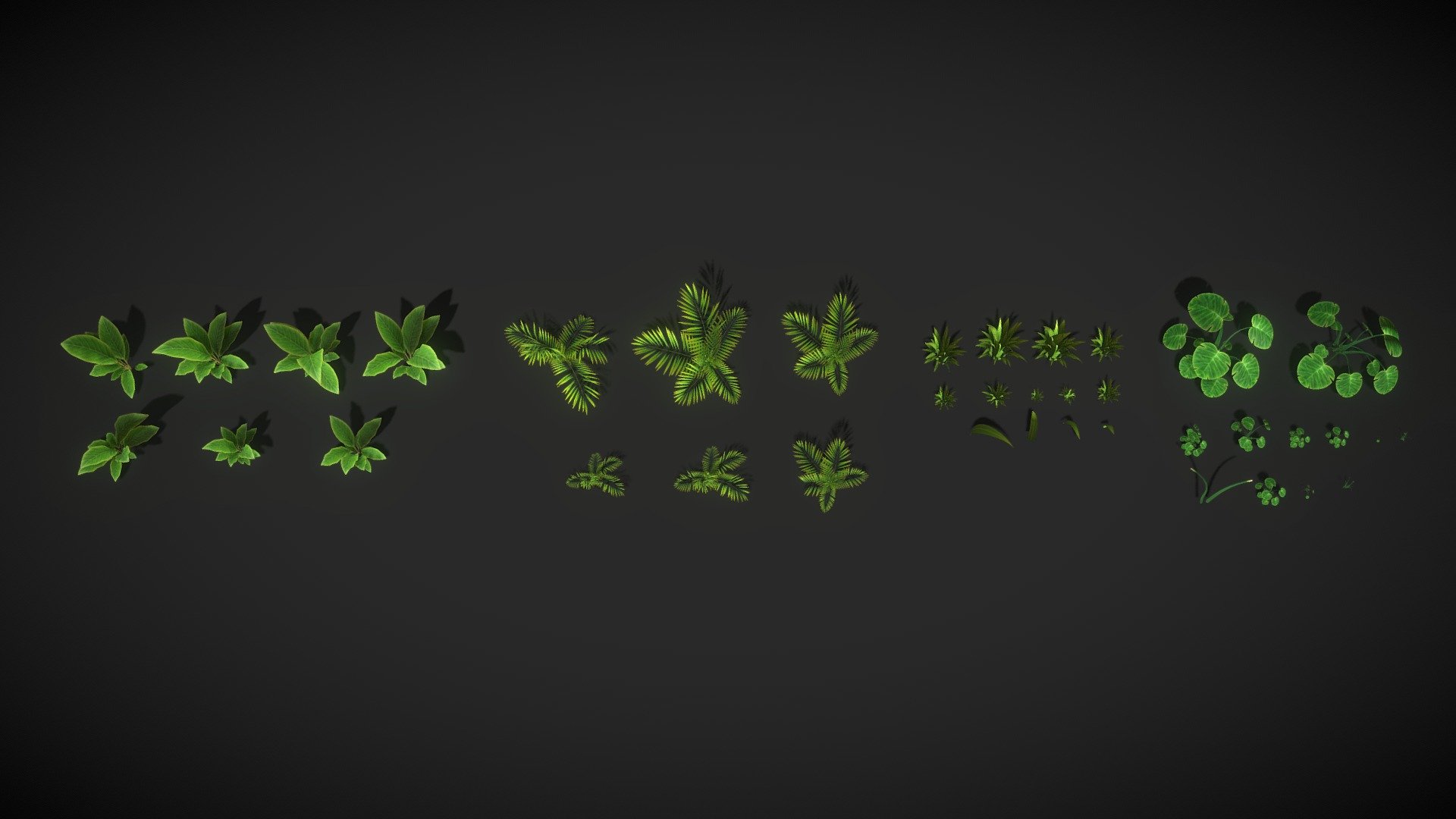 Plants Ready 3d model