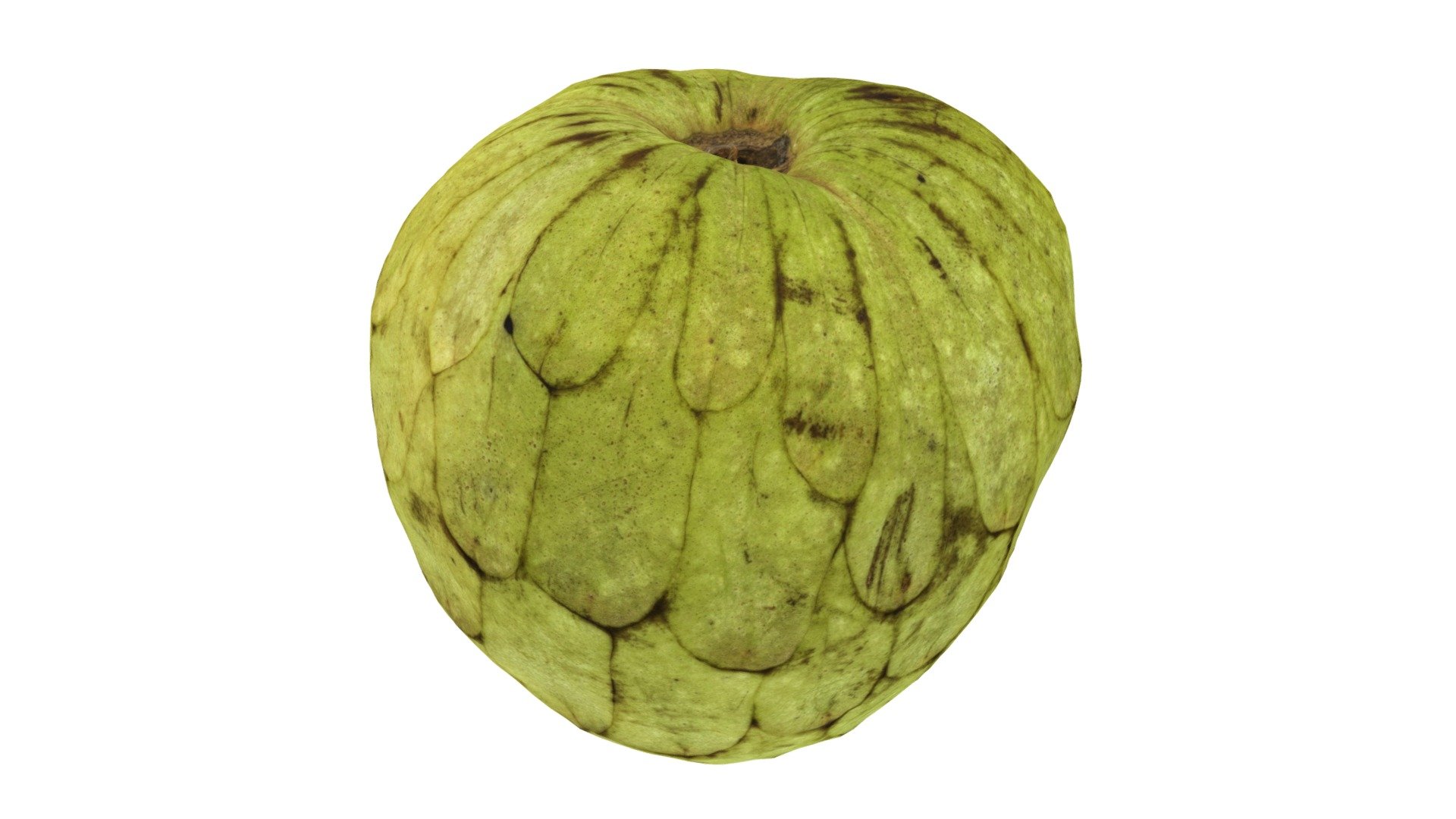 Cherimoya #1 3d model