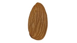 Almond #1