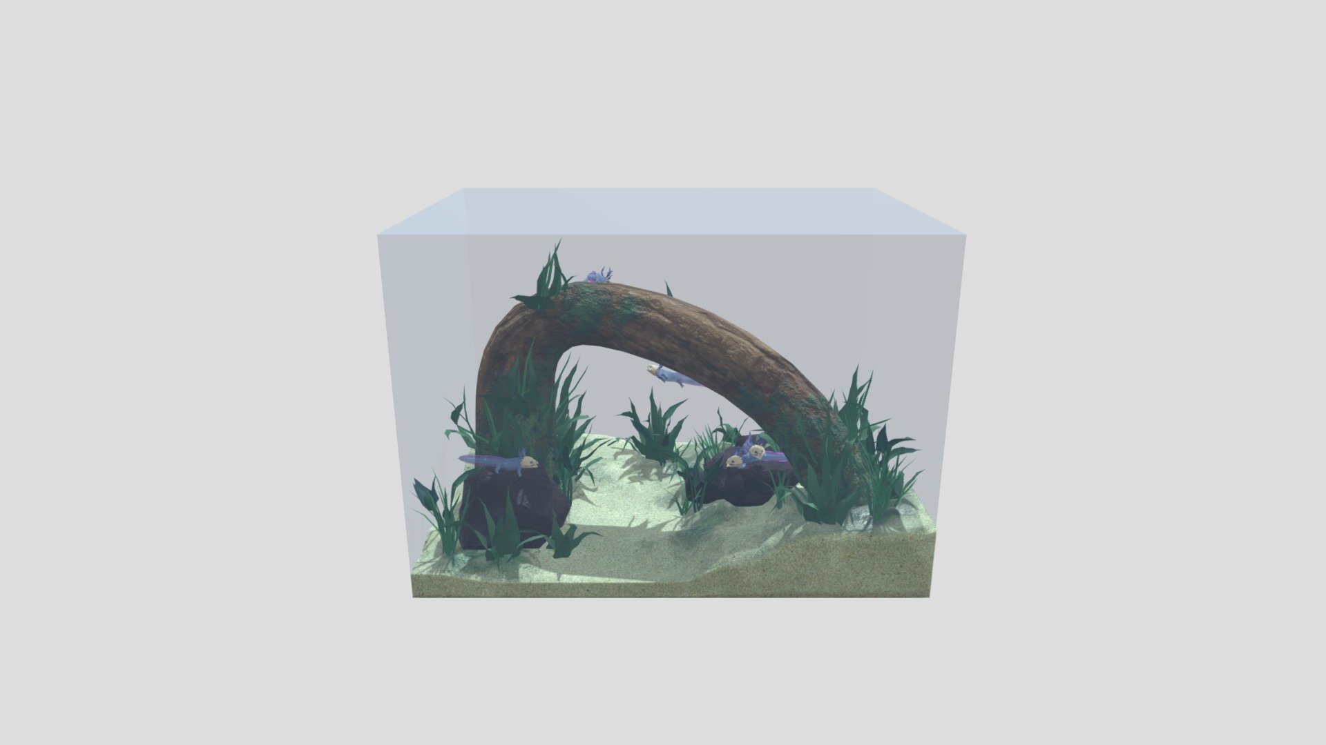 Skelotl Fish Tank 3d model