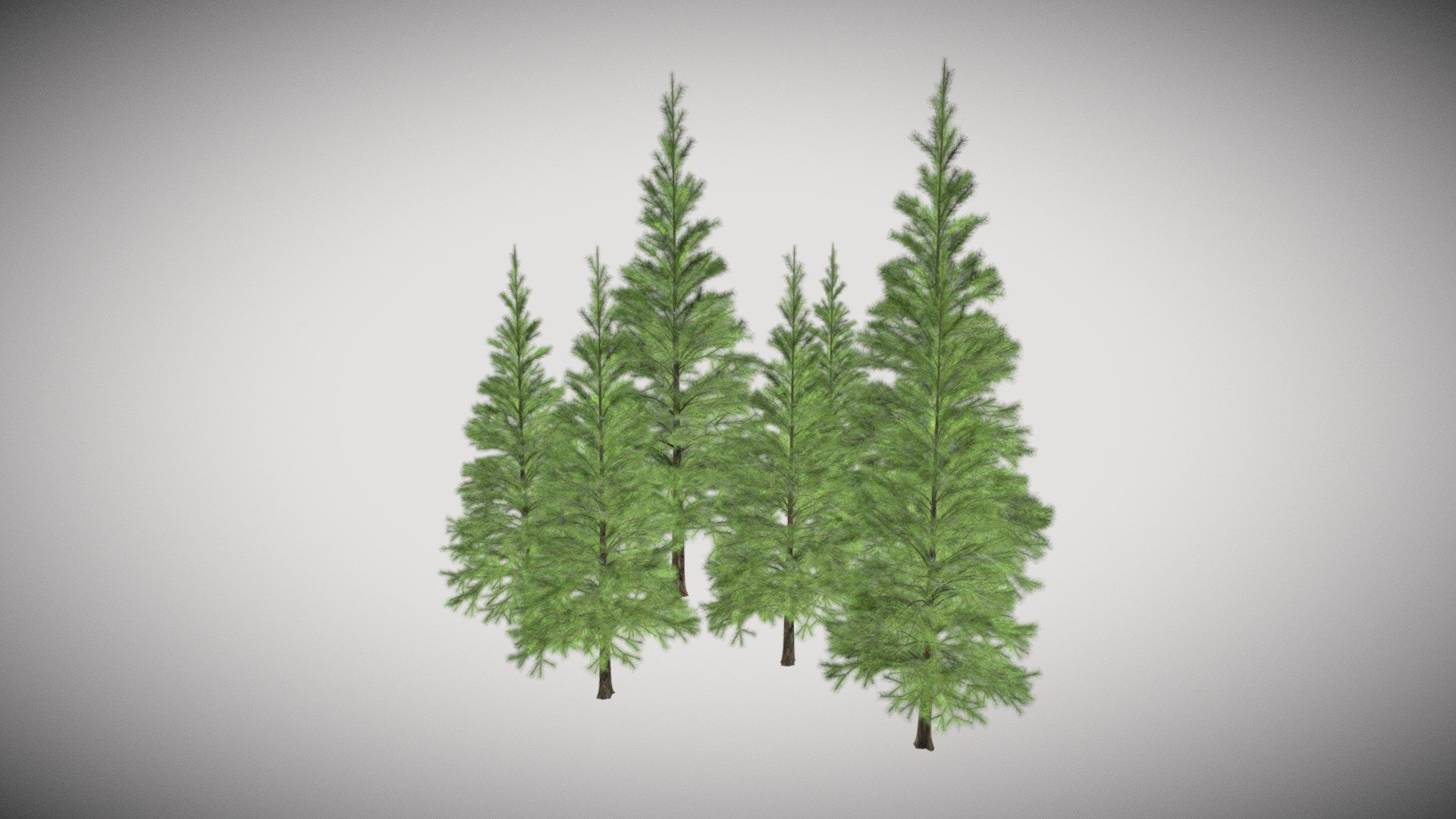 Coniferous Group 3d model