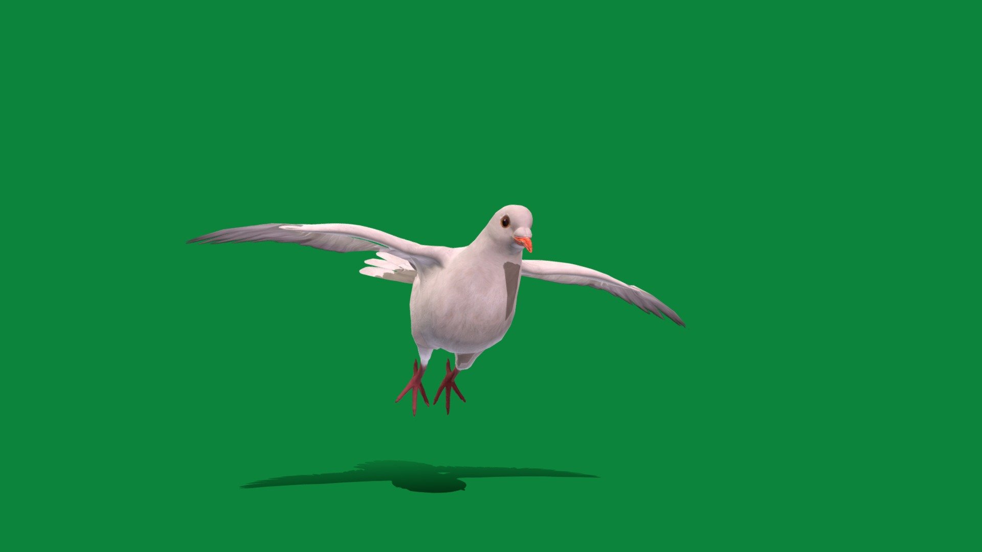 White-winged Dove Bird (Lowpoly) 3d model