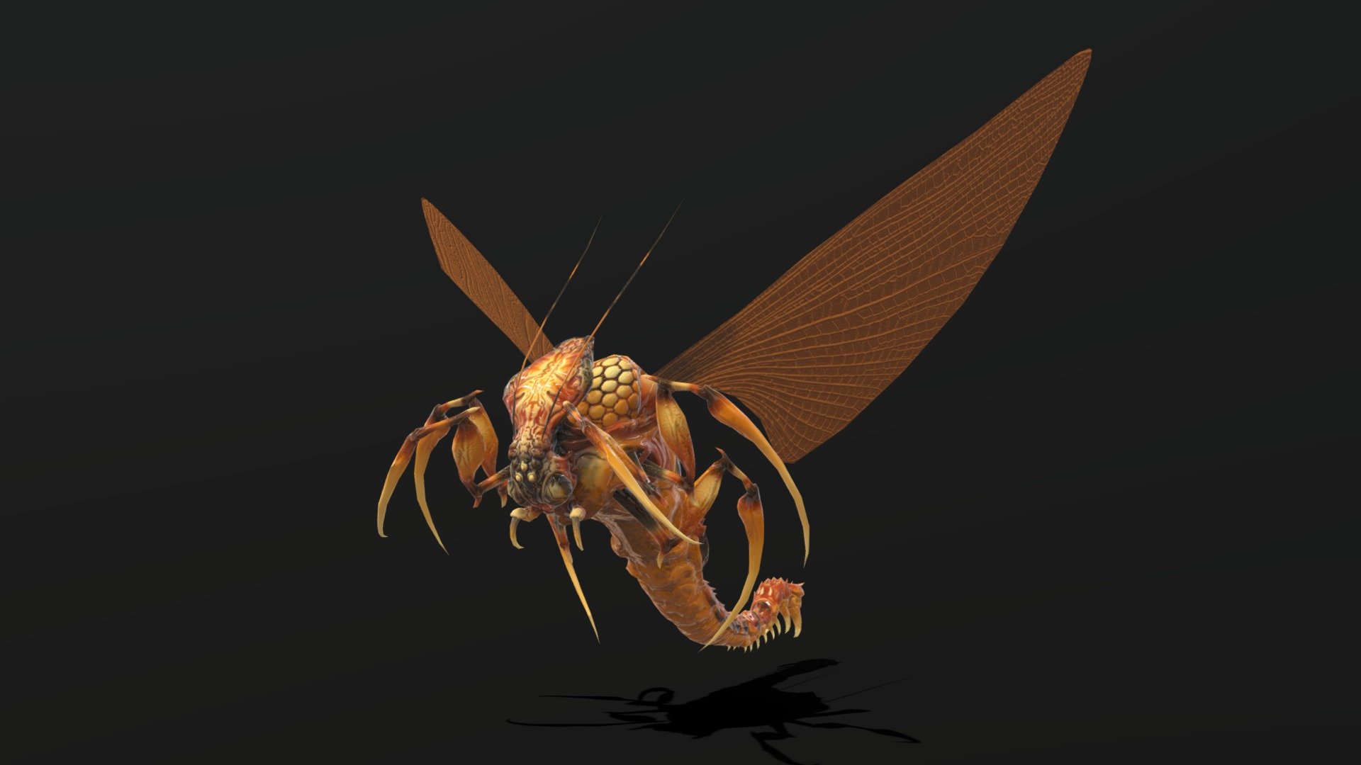 bug10 3d model