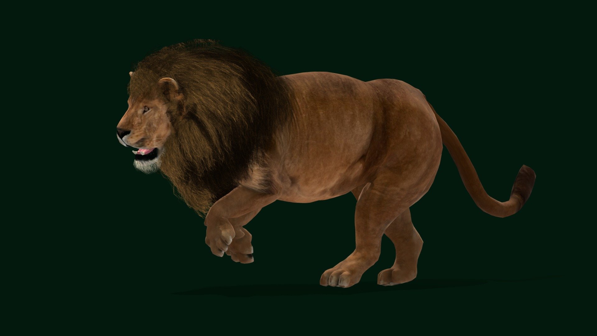 Male African Lion (Mr.Big) Endangered 3d model