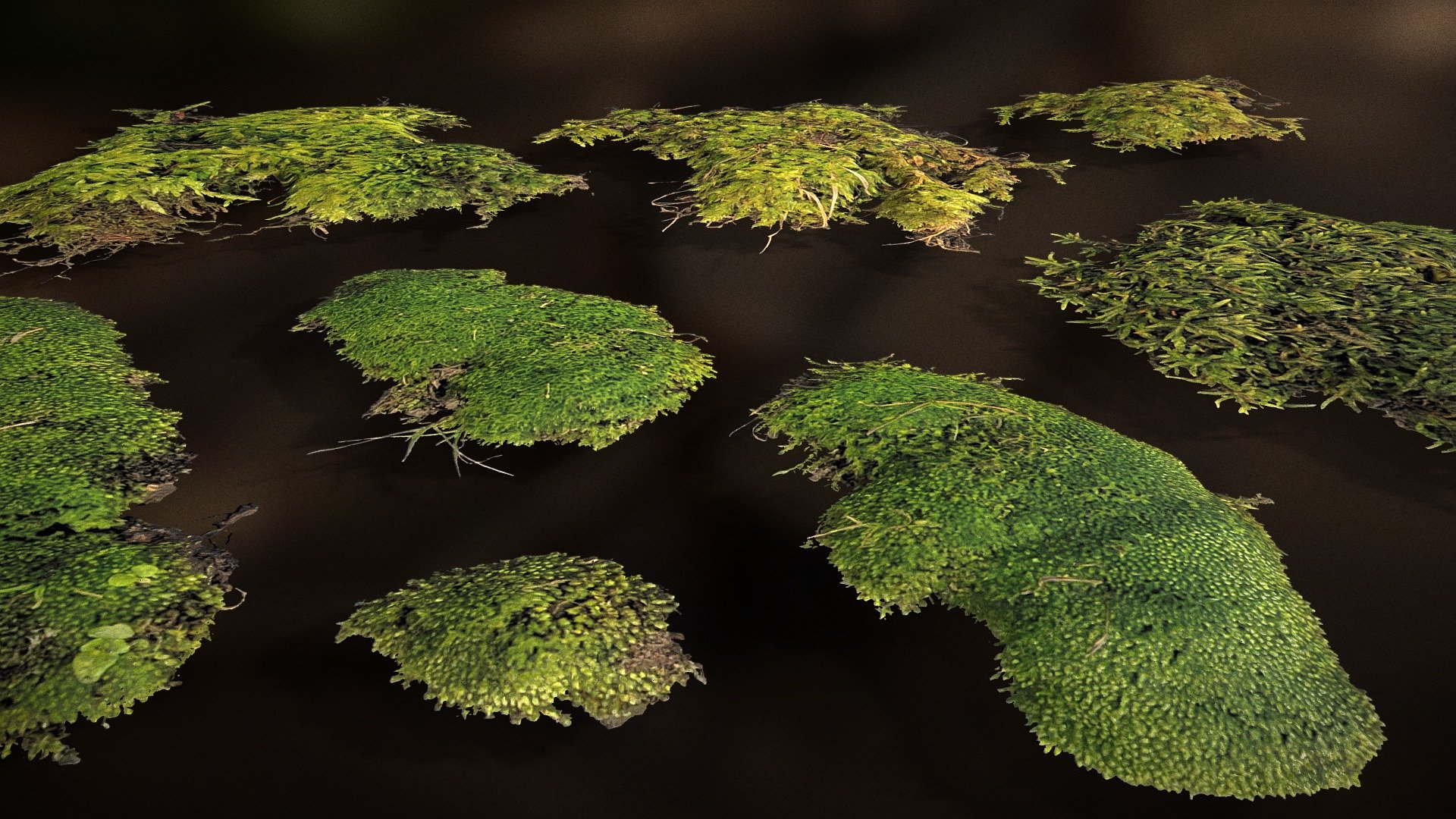 Moss Clumps 3d model