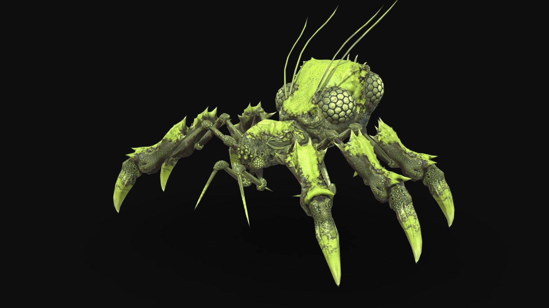 SpiderBug1 3d model