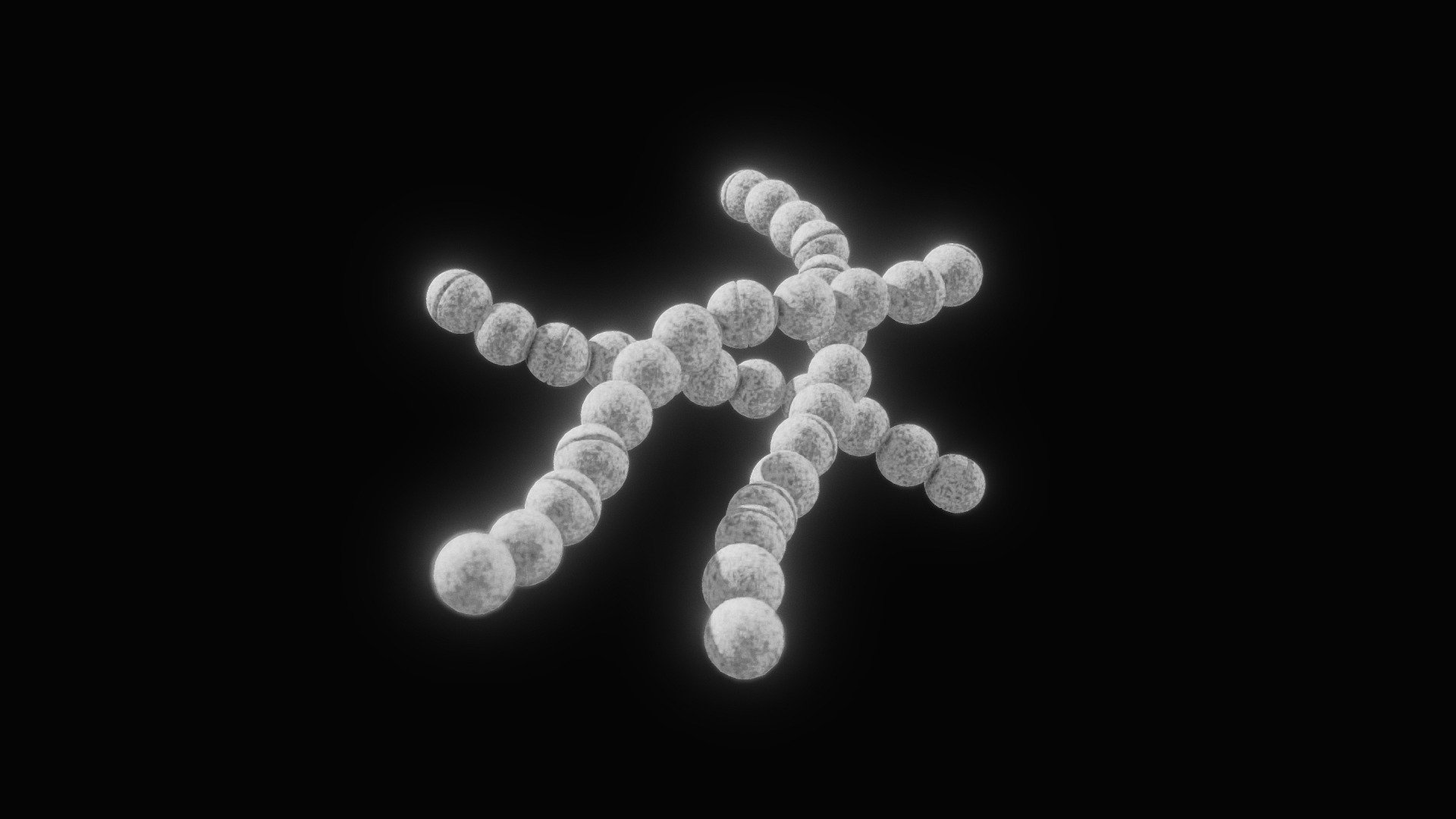 Streptococcus Pyogenes Bacteria 3d model