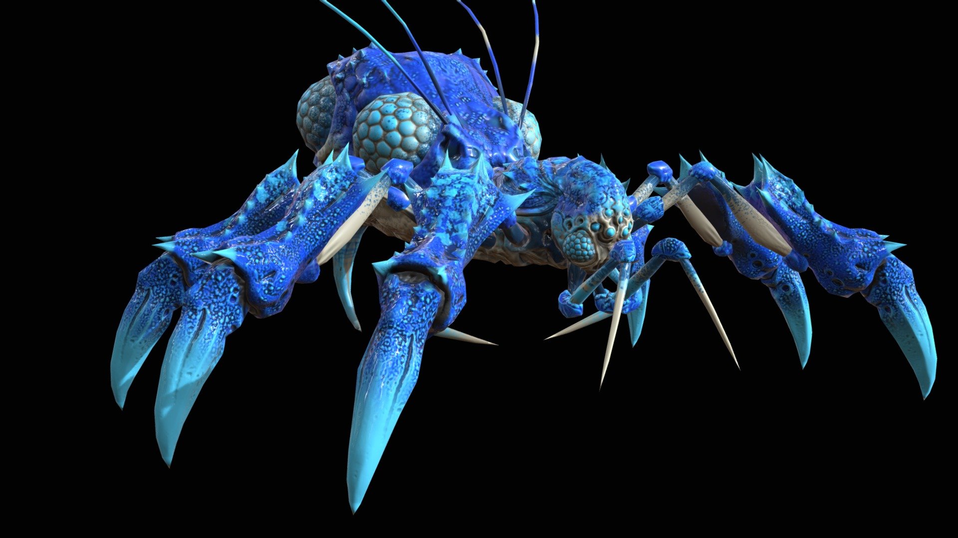 SpiderBug1 3d model