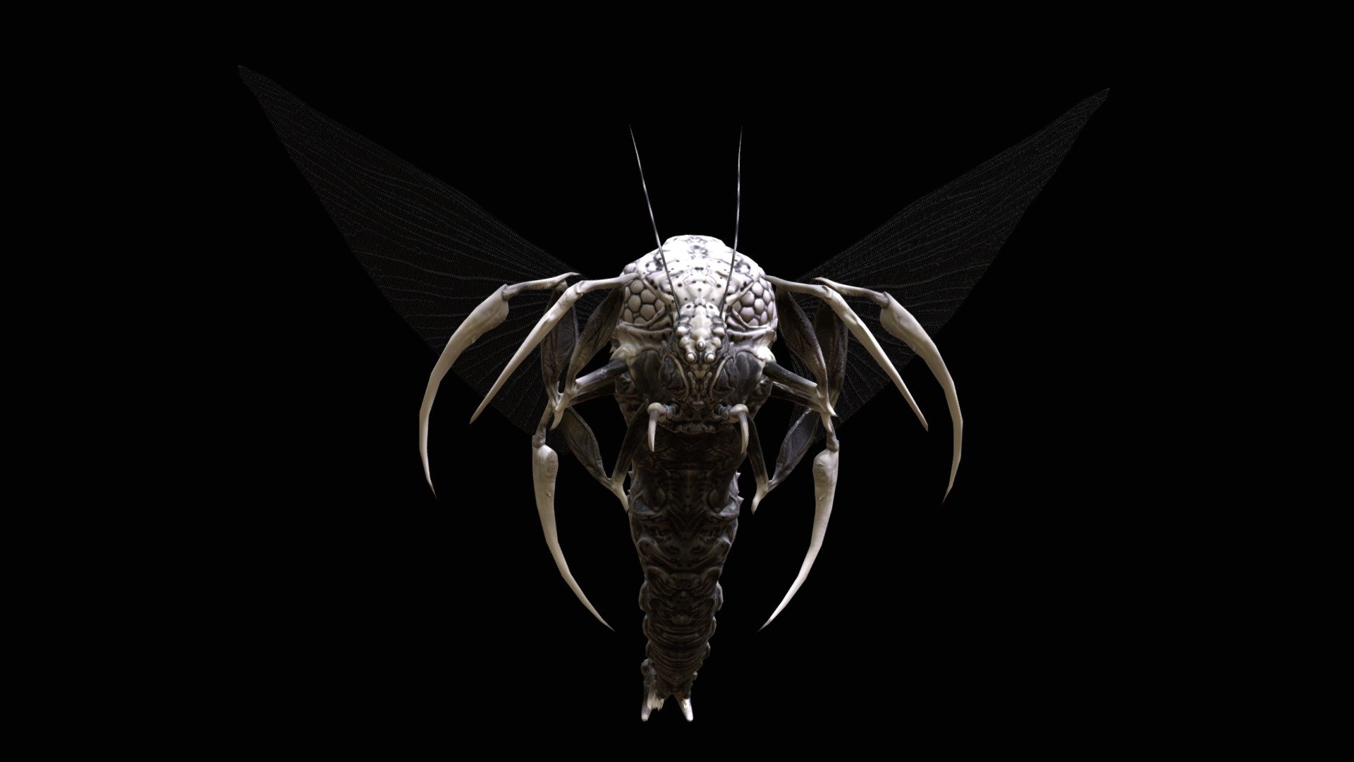 FlyingBug10 3d model