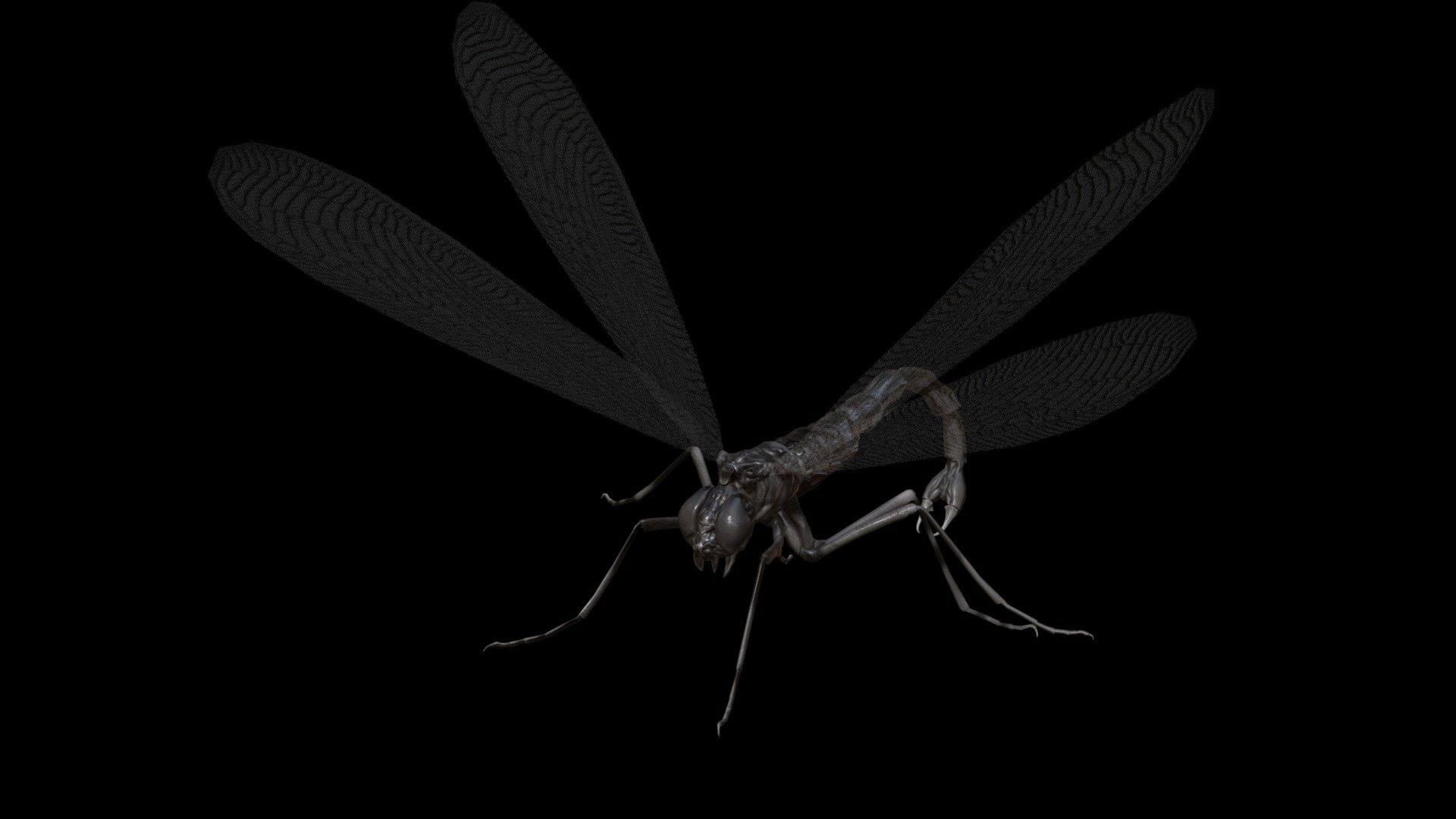 Mosquito_Vampire 3d model