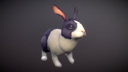 Rabbit