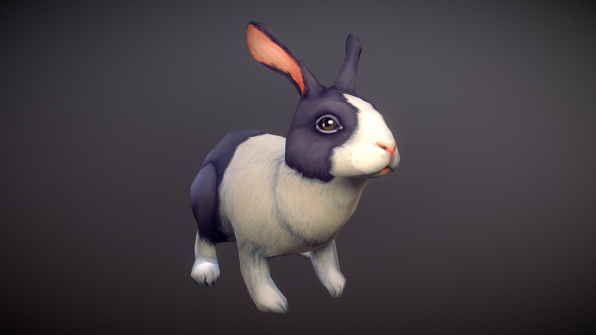 Rabbit 3d model