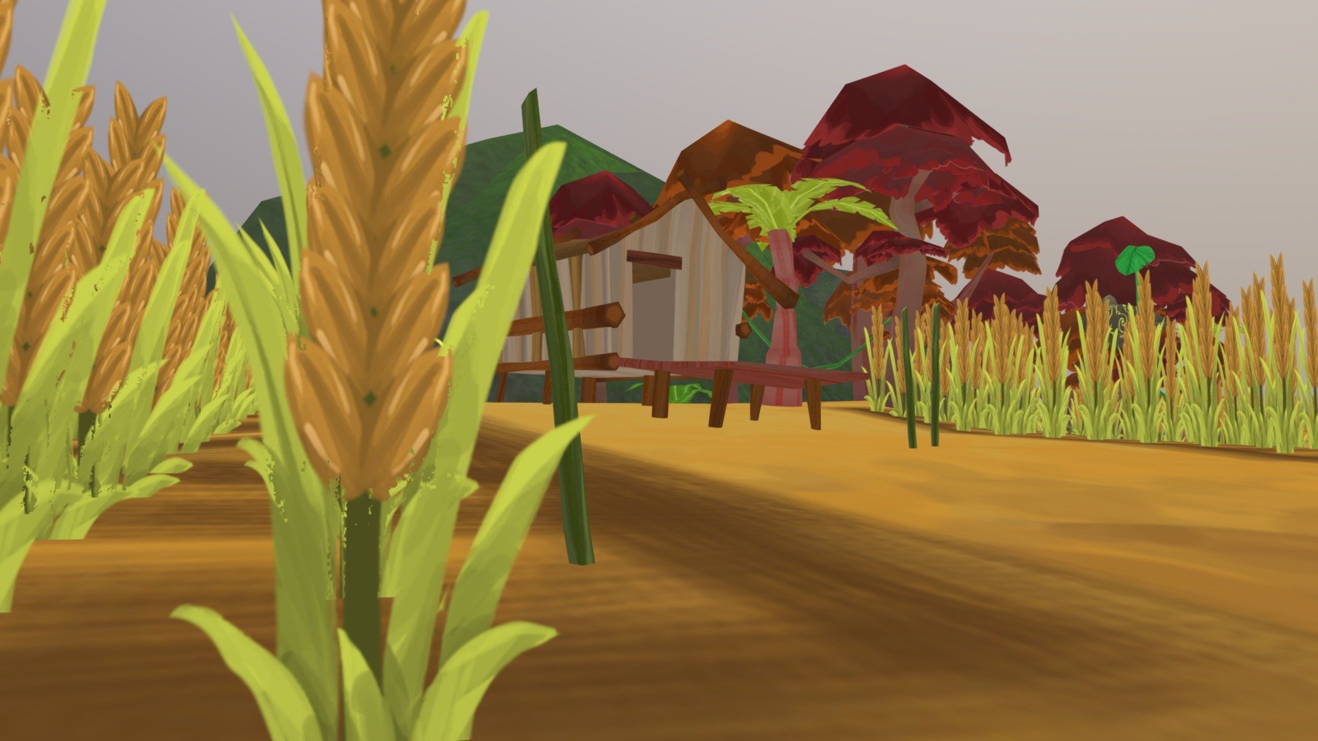 Paddy farm 3d model