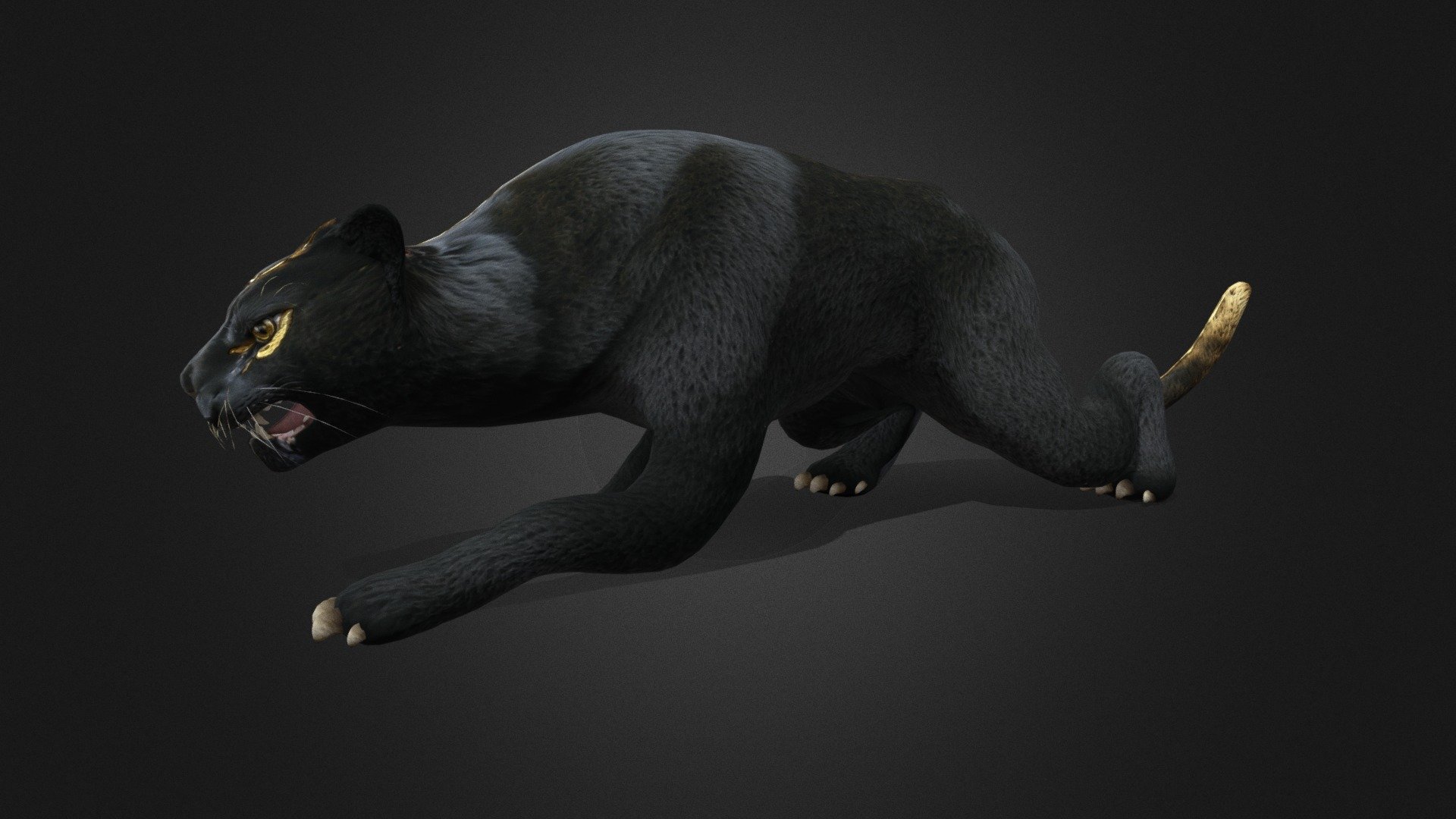 Black Panther_A1 3d model