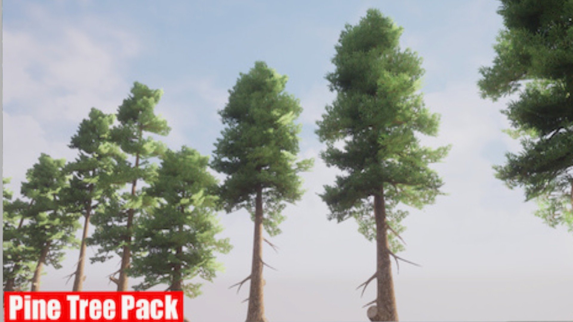 Realistic Pine Pack 3d model