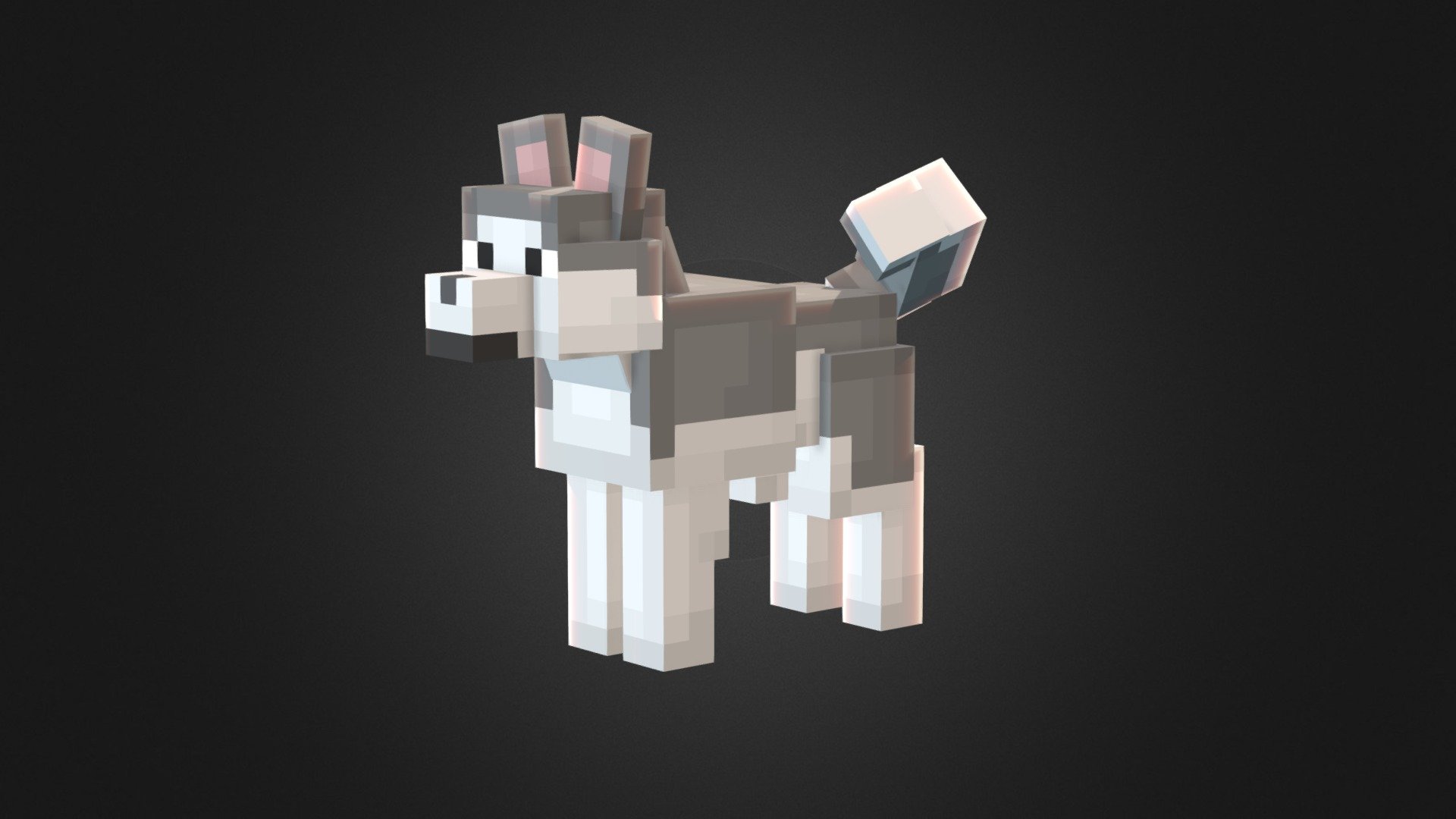 Husky 3d model