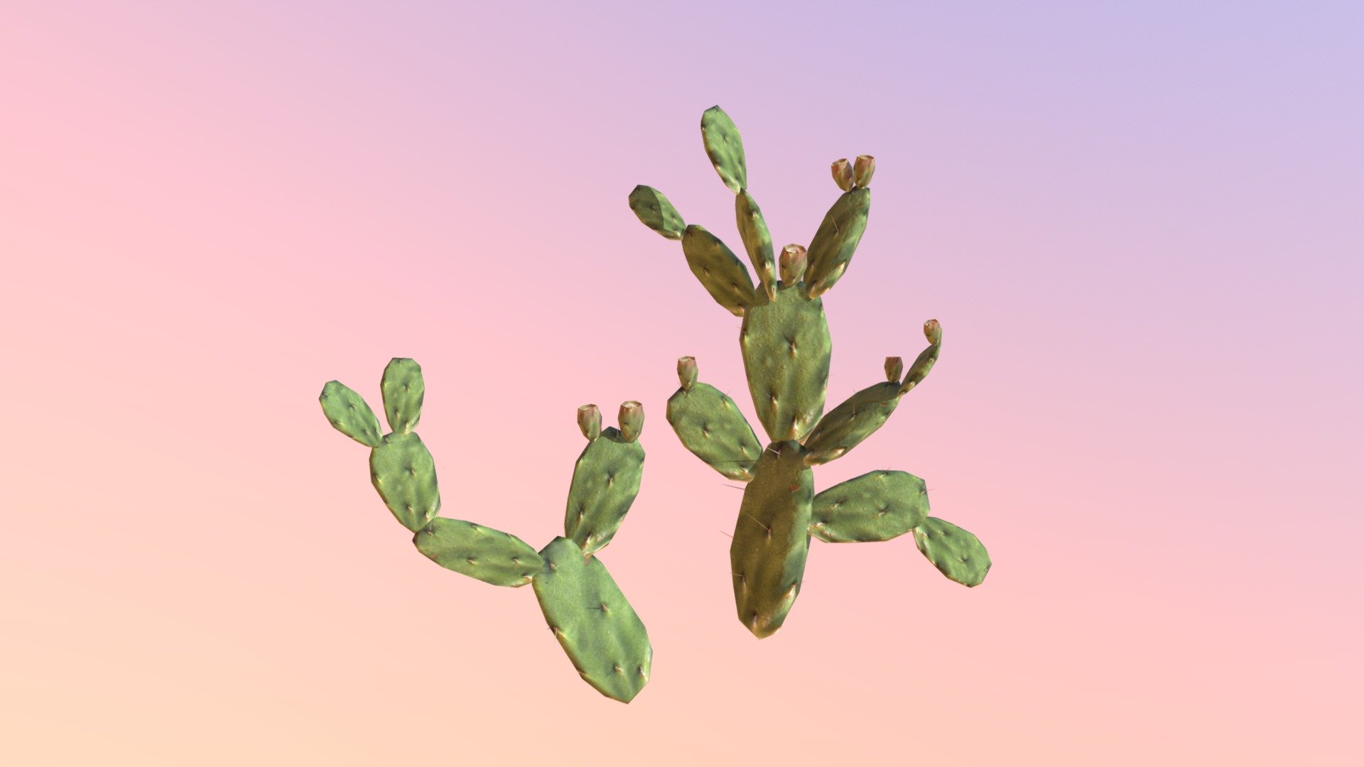 Prickly Pear Cactus (Opuntia humifusa) 3d model