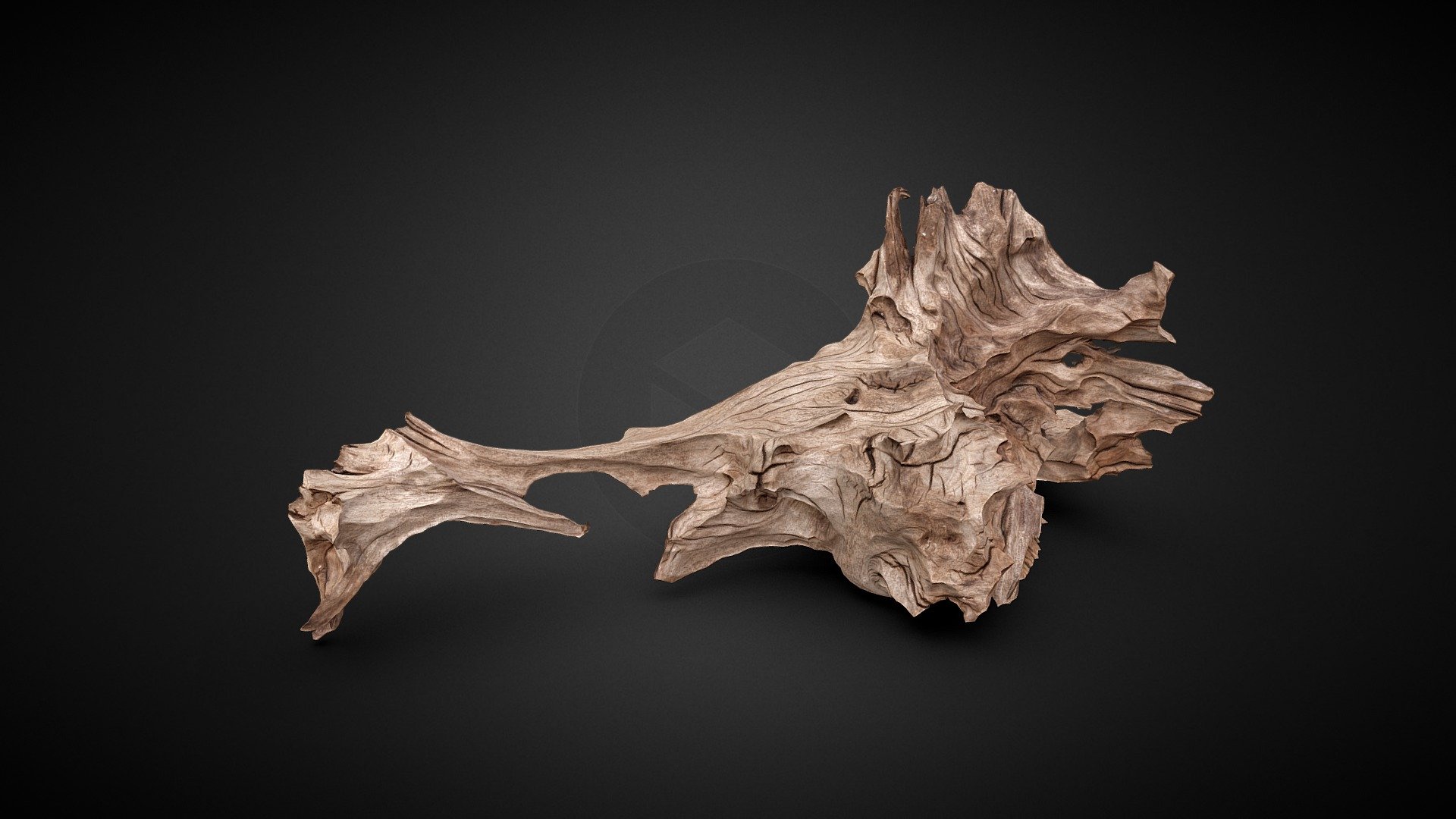 Real Aquarium Wood 3D scan 3d model