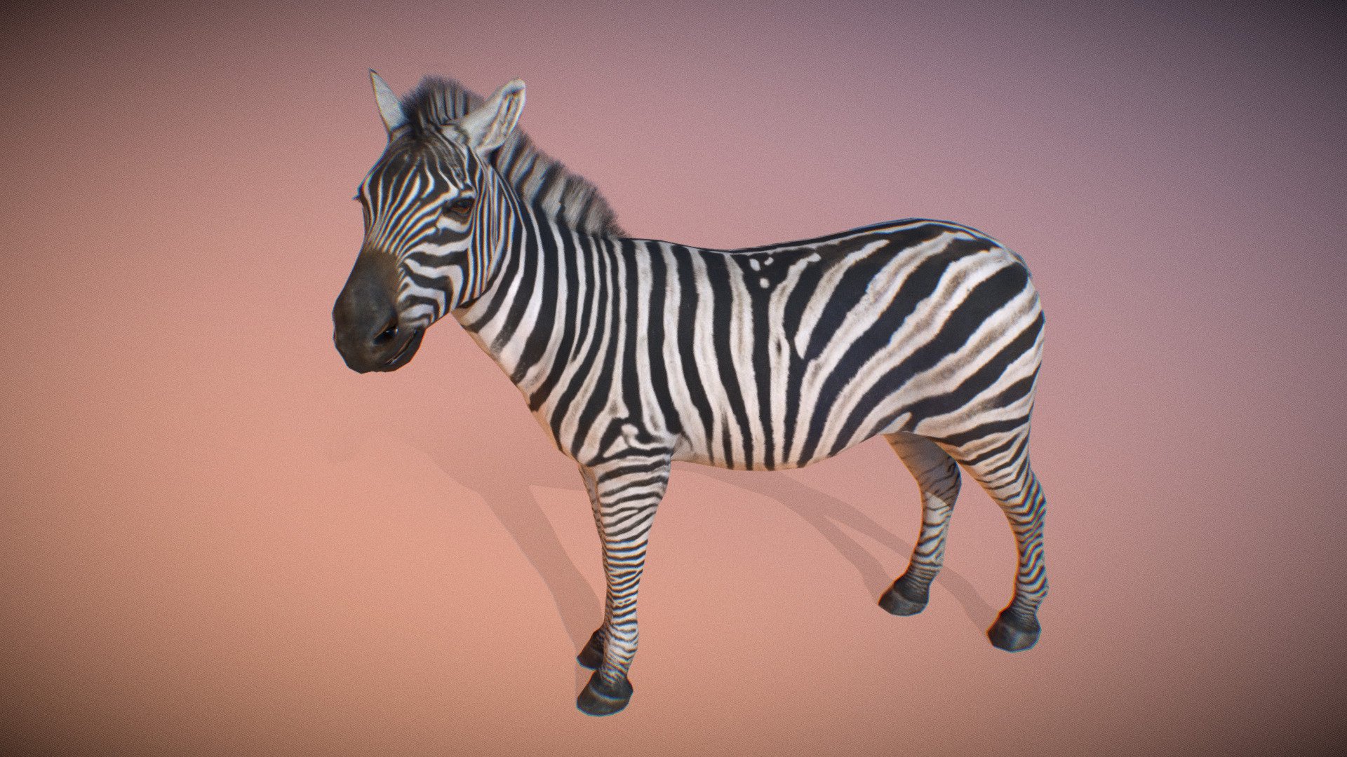 Animalia 3d model